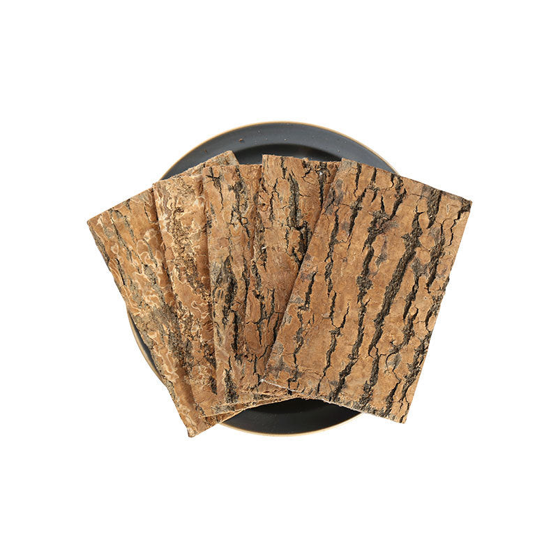 Eucommia Bark/Cortex Eucommiae/Du Zhong/杜仲 - HerbalWorld