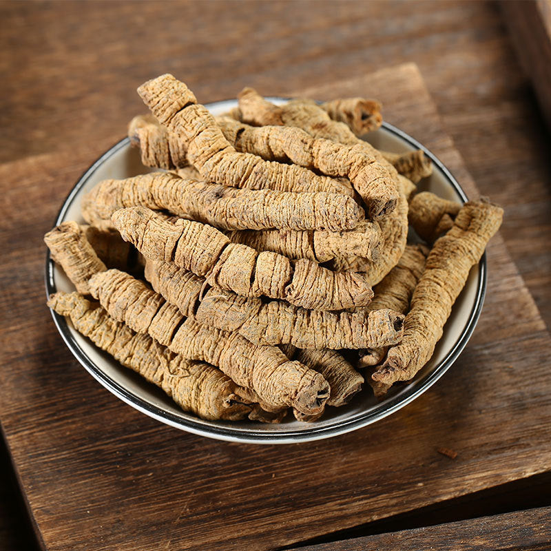 Root of Morinda Officinalis/Radix Morindae Officinalis/Ba Ji Tian/巴戟天 - HerbalWorld