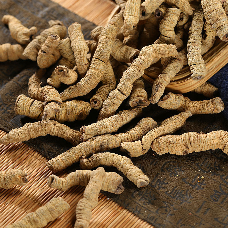 Root of Morinda Officinalis/Radix Morindae Officinalis/Ba Ji Tian/巴戟天 - HerbalWorld