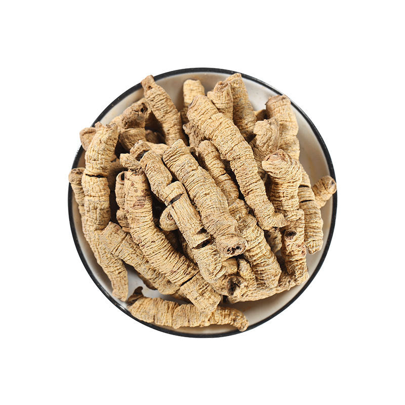 Root of Morinda Officinalis/Radix Morindae Officinalis/Ba Ji Tian/巴戟天 - HerbalWorld