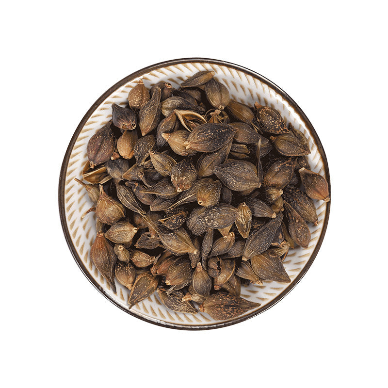 Weeping Forsythia Capsule · Fructus Forsythiae · Lian Qiao · 连翘