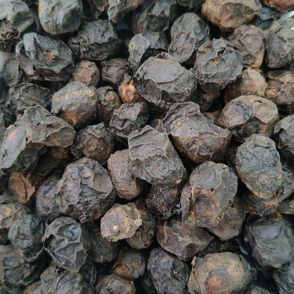 Fruit of Axillary Choerospondias · Fructus Choerospondiatis · Guang Zao · 广枣