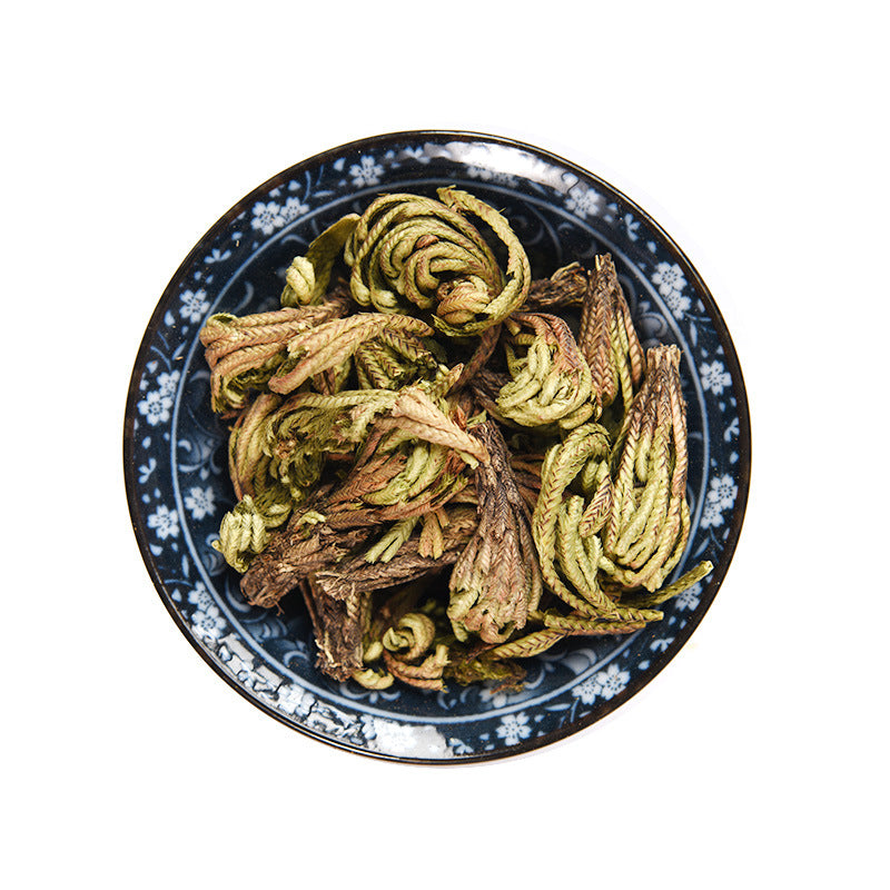 All-Grass of Tamariskoid Spikemoss/Herba Selaginellae/Juan Bai/卷柏 - HerbalWorld