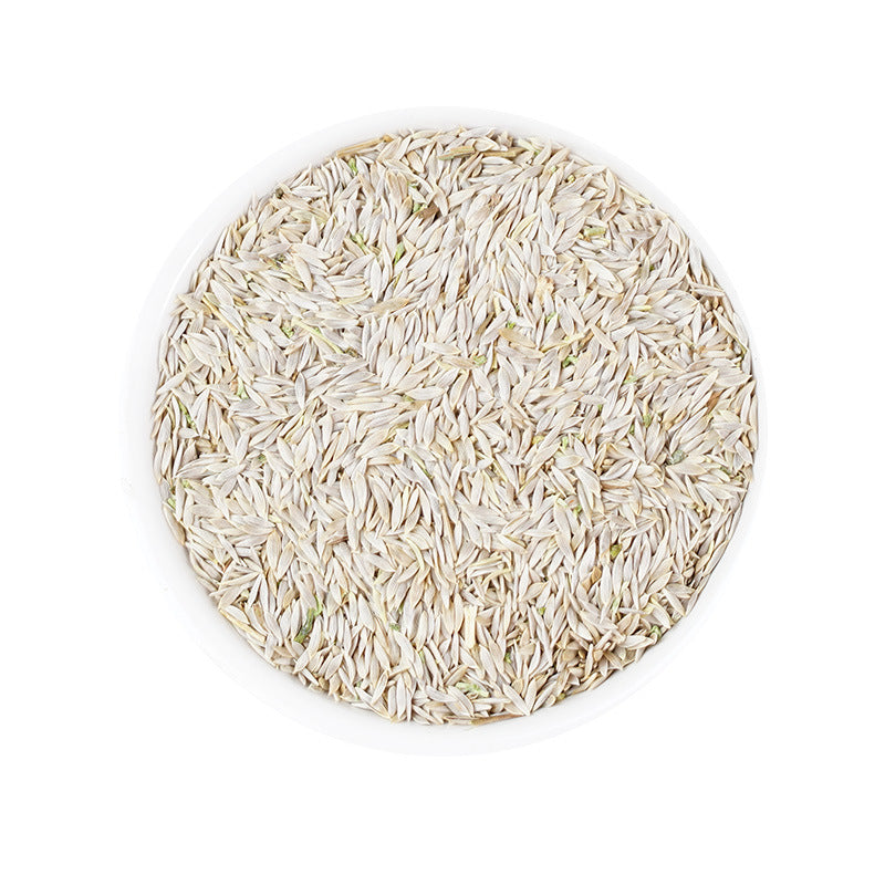 Seed of Garden Lettuce/Semen Lactucae/Wo Ju Zi/白巨胜 - HerbalWorld