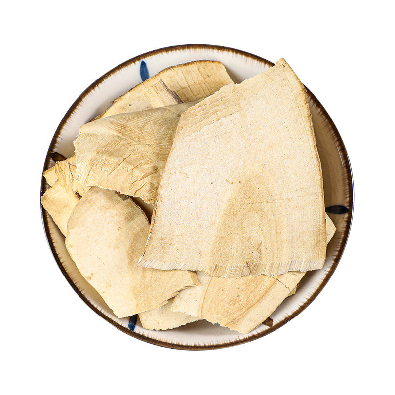 Elder Equivalent Plant · Sambucus Williamsii · Jie Gu Mu · 接骨木 - Renji Herbal Therapy