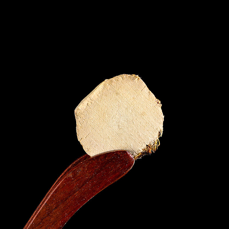 Common Burreed Tuber · Rhizoma Sparganii · San Leng · 三棱