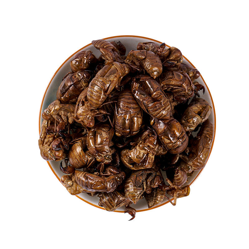 Cicada Slough · Periostracum Cicadae · Chan Tui · 蝉蜕