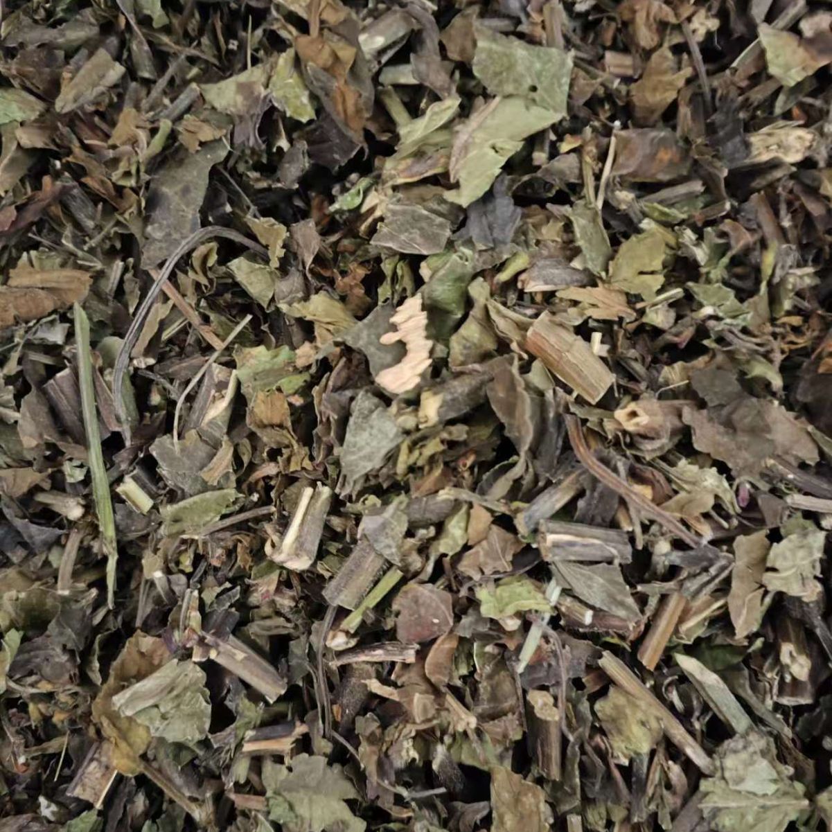 All-Grass of Glabrous Sarcandra · Herba Sarcatidrae · Zhong Jie Feng · 肿节风