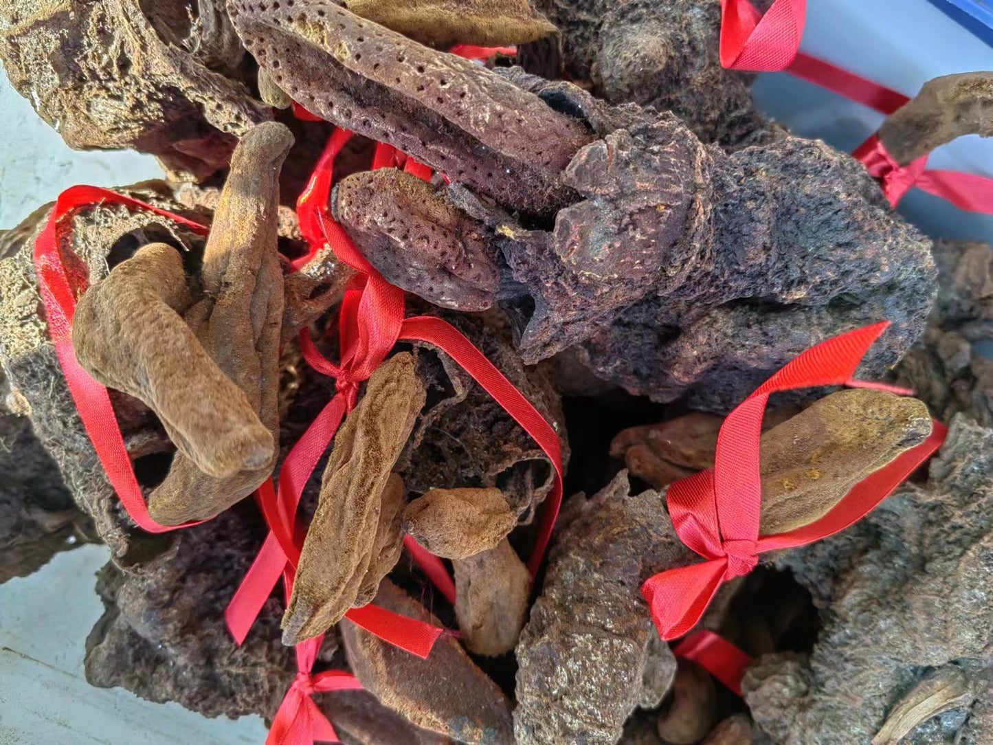 Chinese Wedelia · Sphagneticola Calendulacea · Hui Chun Cao · 回春草