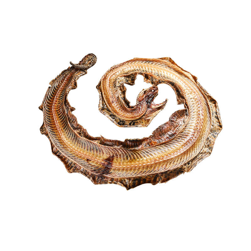 Long-Noded Pit Viper · Agkistrodon · Qi She · 蕲蛇