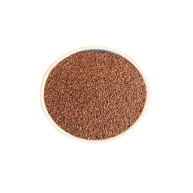 Dodder Seed/Semen Cuseutae/Tu Si Zi/菟丝子 - HerbalWorld