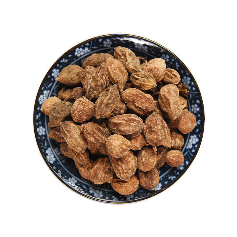 Sharpleaf Galangal · Alpinia Oxyphylla · Yi Zhi Ren · 益智仁 - Renji Herbal Therapy