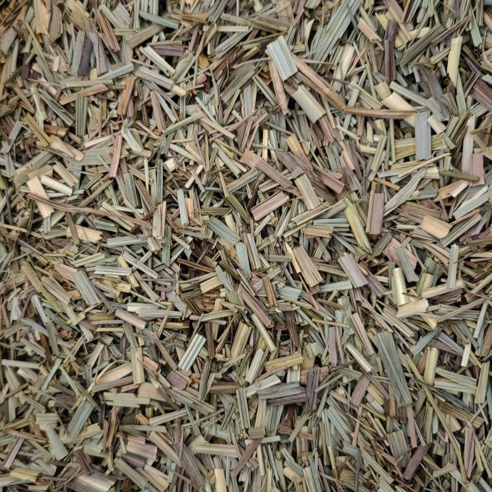 Long Lemongrass/Cymbopogon Procerus/Chang Xiang Mao/香茅 - HerbalWorld