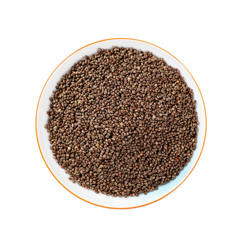 Perilia Fruit · Fructus Perillae · Zi Su Zi · 紫苏子 - Renji Herbal Therapy