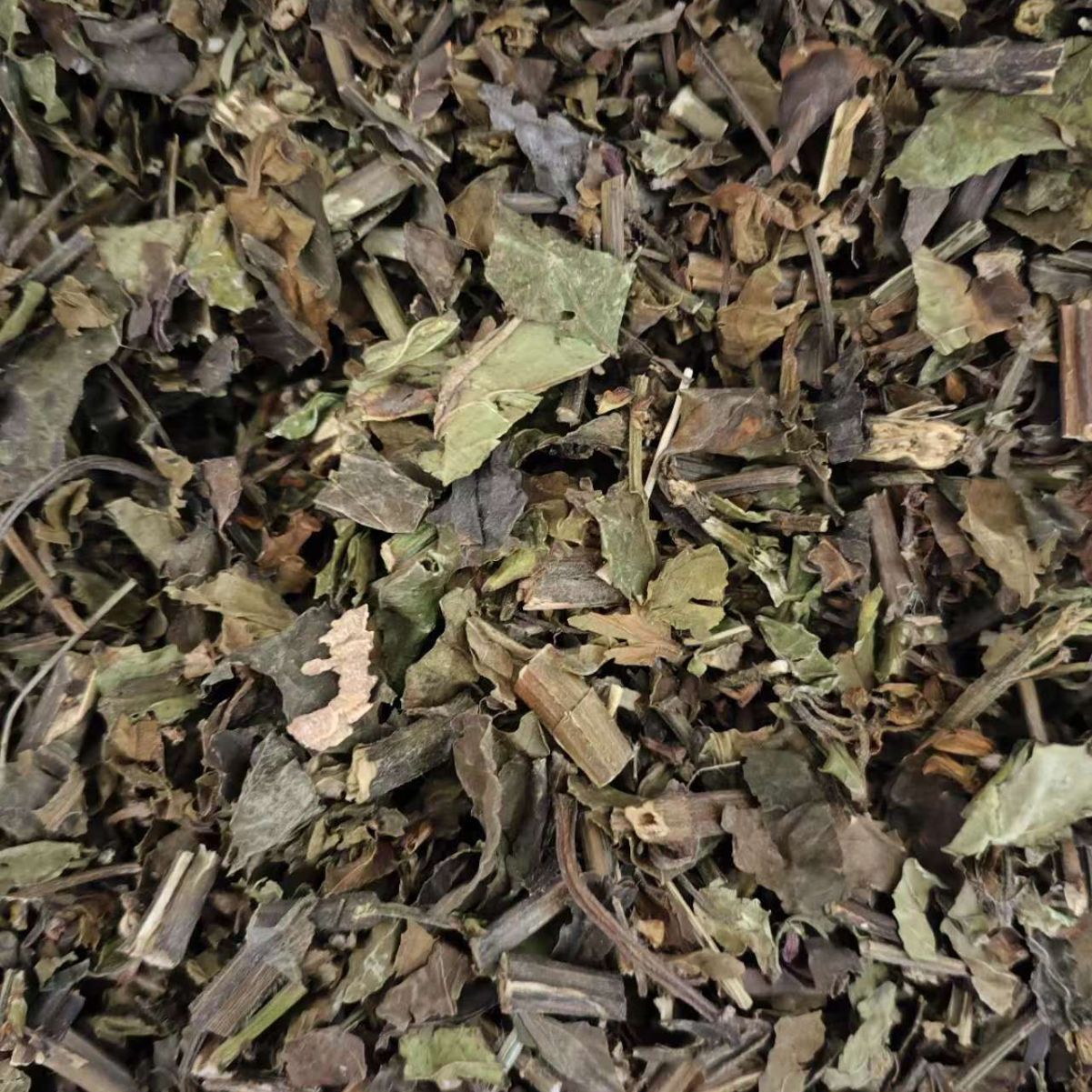 All-Grass of Glabrous Sarcandra · Herba Sarcatidrae · Zhong Jie Feng · 肿节风
