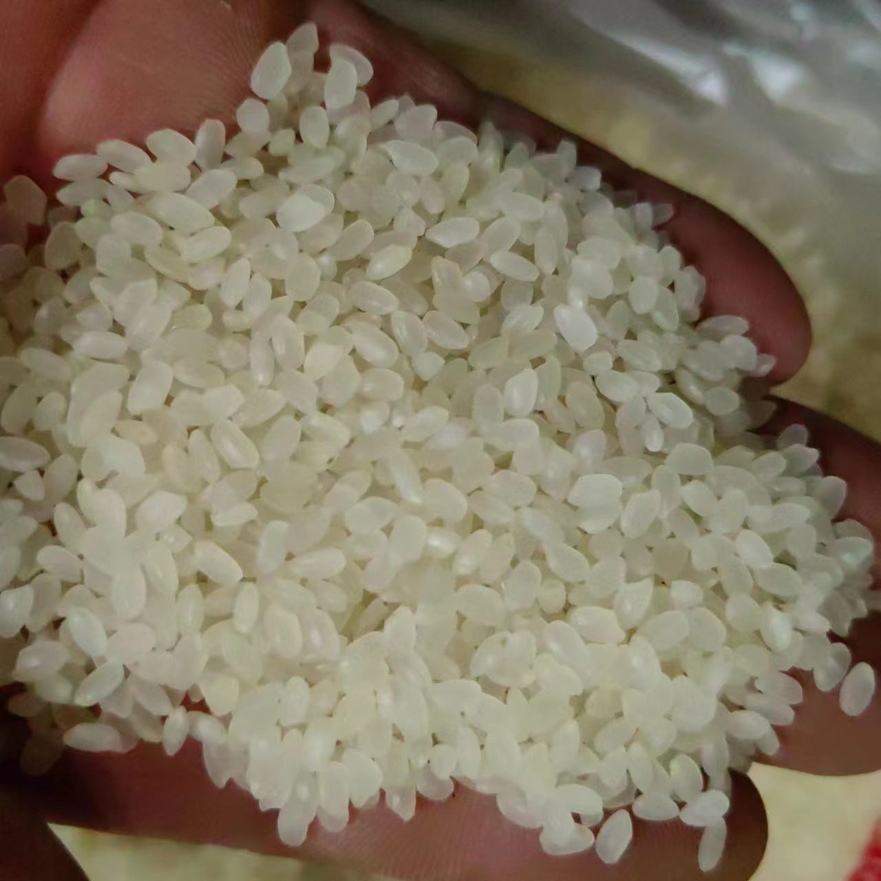 Rice · Oryza Sativa · Jing Mi · 粳米