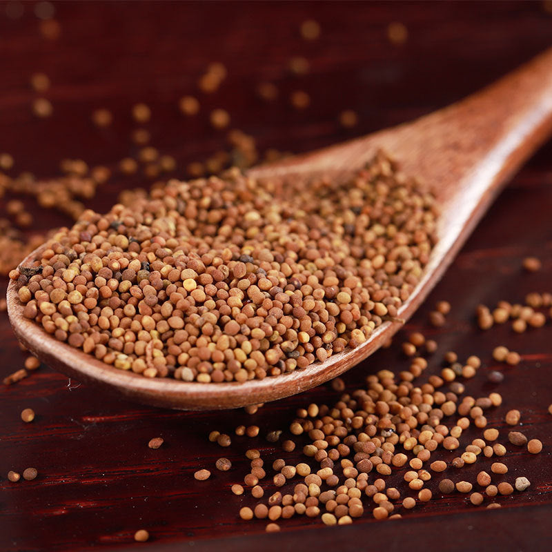 Dodder Seed/Semen Cuseutae/Tu Si Zi/菟丝子 - HerbalWorld