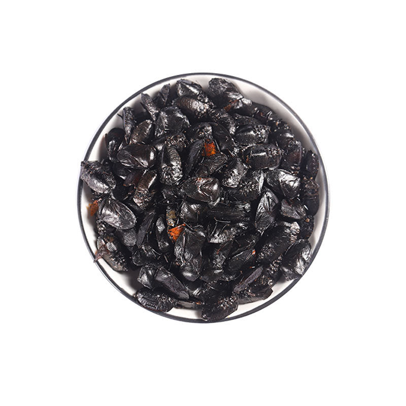 Stink-Bug · Aspongopus · Jiu Xiang Chong · 九香虫 - Renji Herbal Therapy