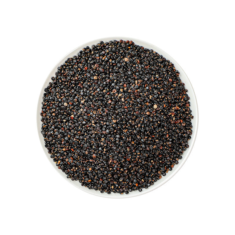 Prince's Feather Fruit · Fructus Polygoni Orientalis · Shui Hong Hua Zi · 水红花子 - Renji Herbal Therapy