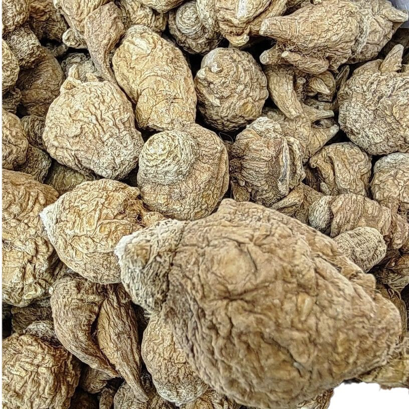 Maca/Lepidium Meyenii/Ma Ka/玛咖 - HerbalWorld