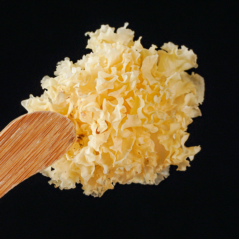 Snow Fungus/Tremlla Fuciformis/Yin Er/银耳 - HerbalWorld