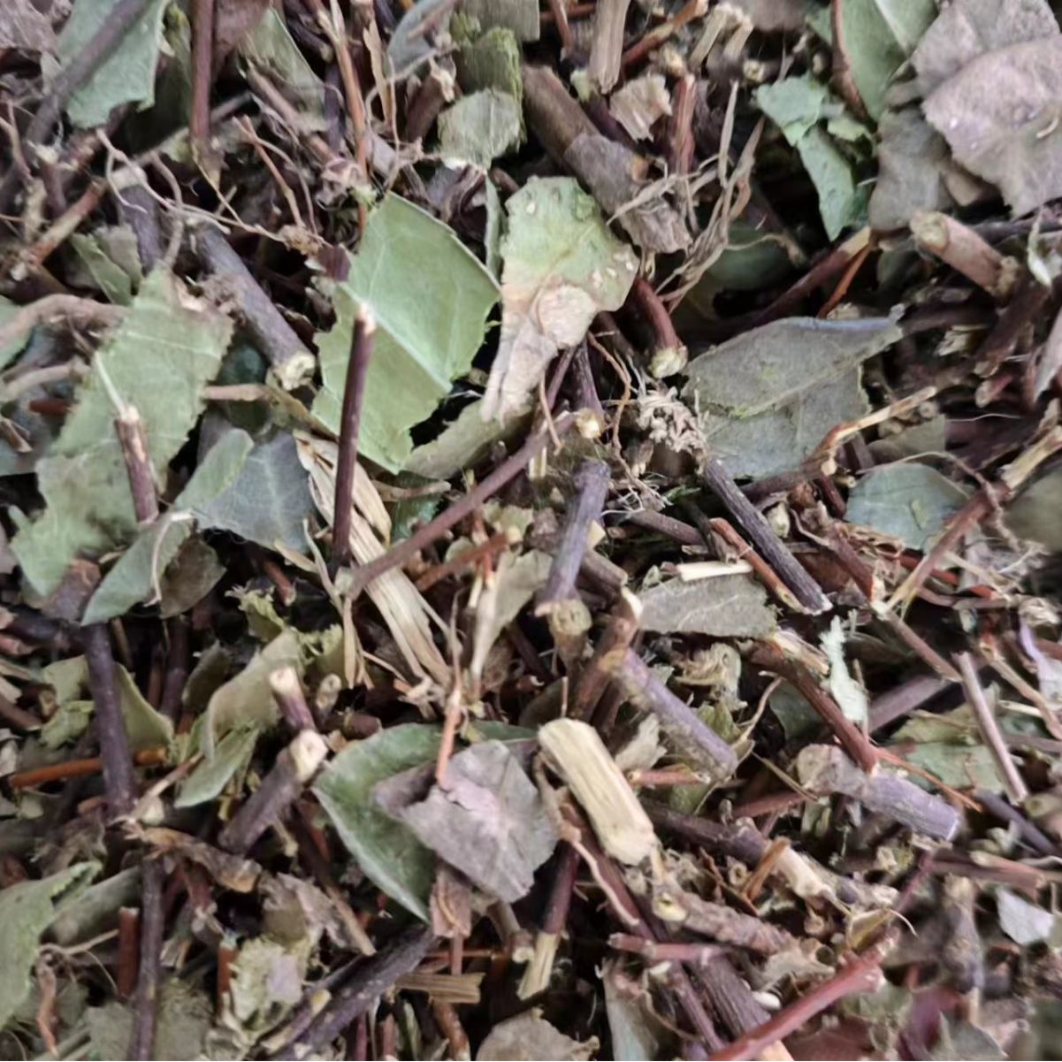 Stem of Chinese Starjasmine · Caulis Trachelospermi · Luo Shi Teng · 络石藤 - Renji Herbal Therapy