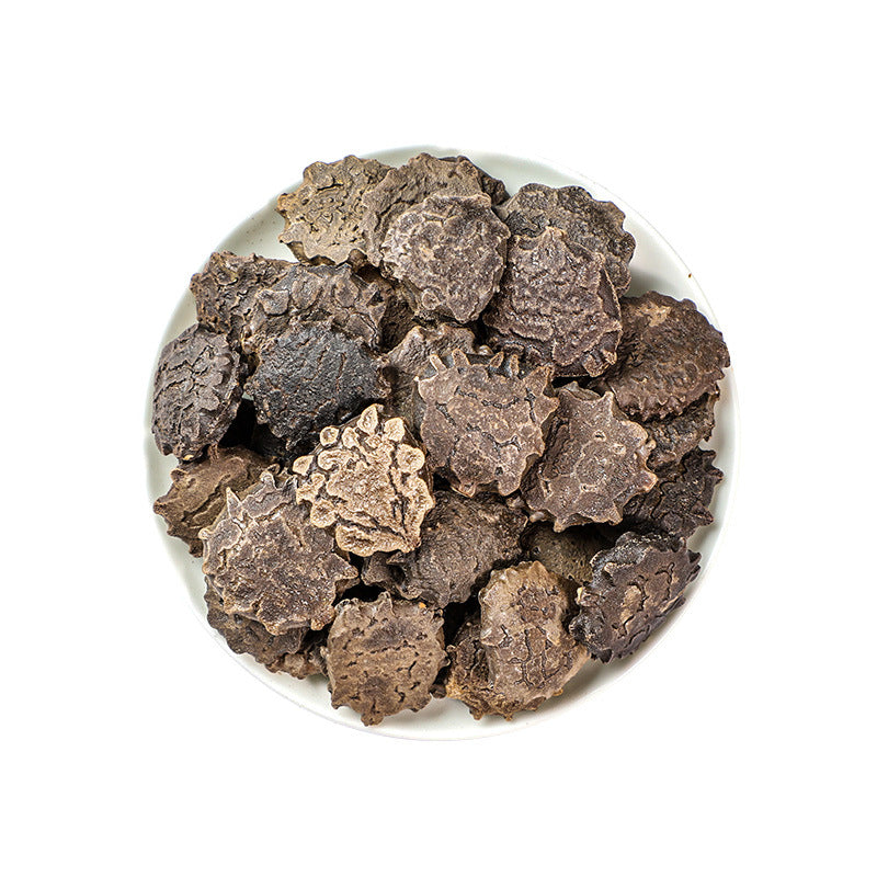 Momordicae Semen/Momordica Cochinchinensis/Mu Bie Zi/木鳖子 - HerbalWorld