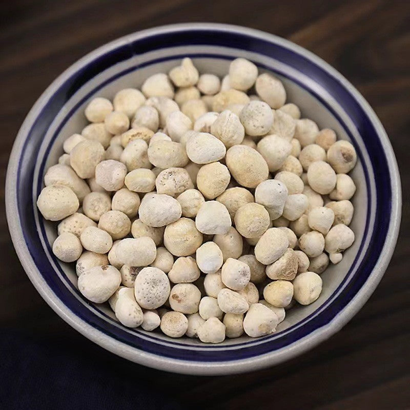 Prepared Pinellia Tuber · Rhizoma Pinelliae Preparata · Zhi Ban Xia · 制半夏 - Renji Herbal Therapy