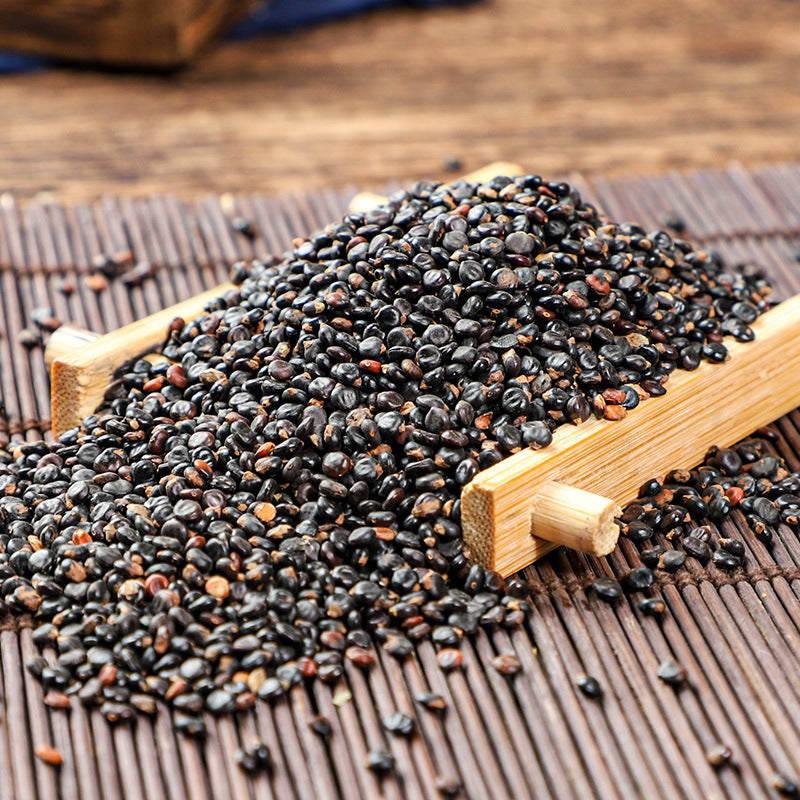 Prince's Feather Fruit · Fructus Polygoni Orientalis · Shui Hong Hua Zi · 水红花子 - Renji Herbal Therapy
