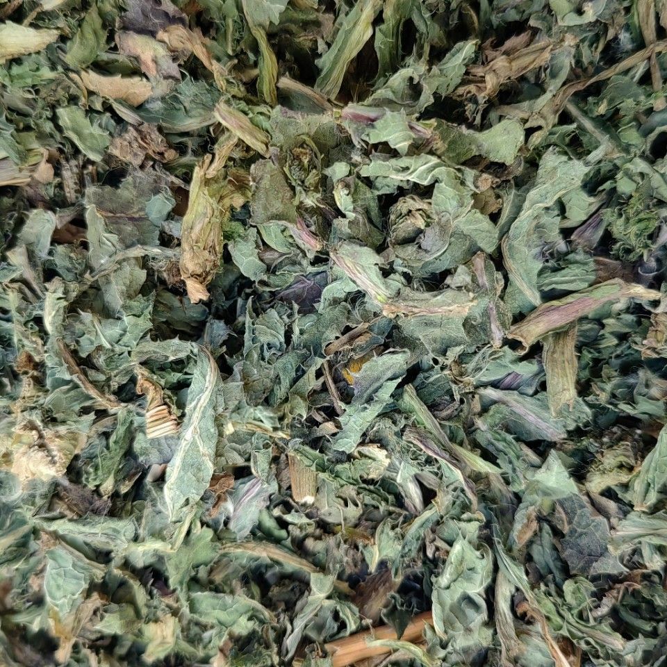 Field Thistle Herb/Herba Cirsii/Xiao Ji/小蓟 - HerbalWorld