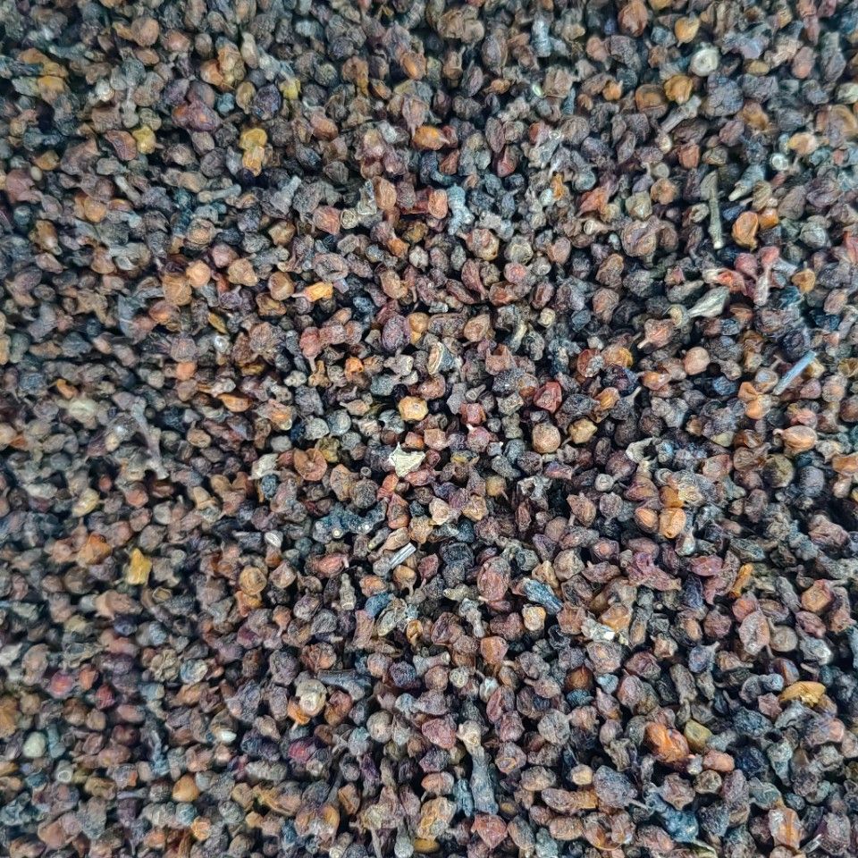 Fruit of Seabuckthorn · Fructus Hippophae · Sha Ji · 沙棘 - Renji Herbal Therapy