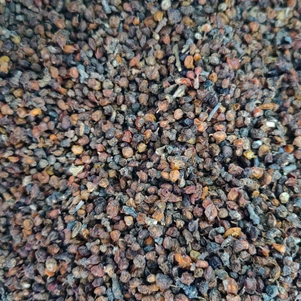Fruit of Seabuckthorn · Fructus Hippophae · Sha Ji · 沙棘 - Renji Herbal Therapy
