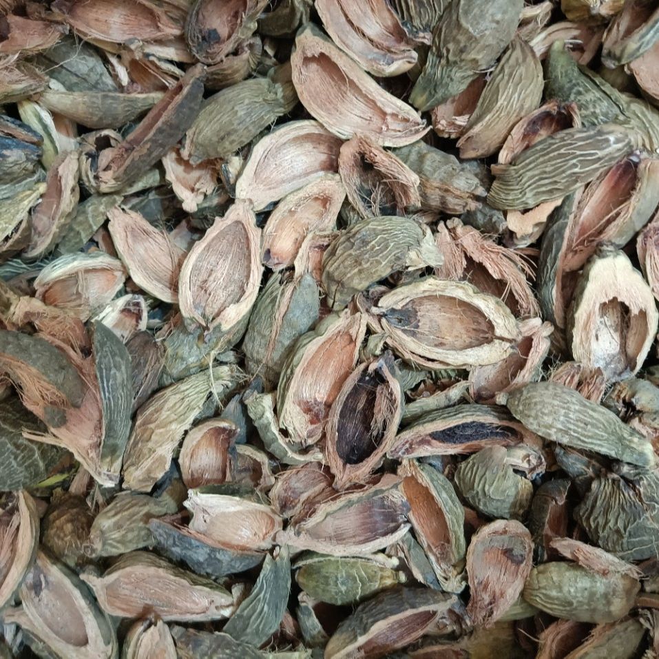 Areca Catechu L./Da Fu Pi/大腹皮 - HerbalWorld