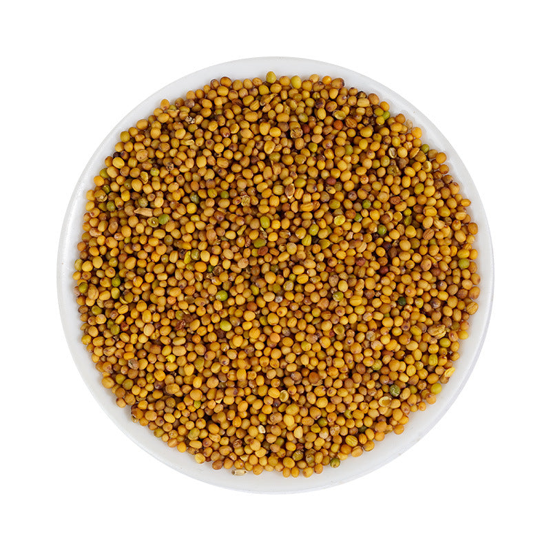 India Mustard Seed · Semen Sipis · Huang Jie Zi · 黄芥子
