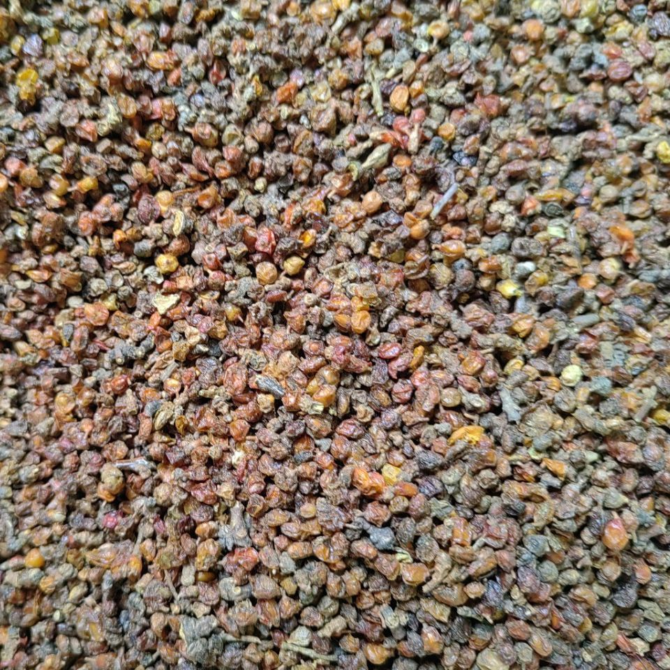 Fruit of Seabuckthorn · Fructus Hippophae · Sha Ji · 沙棘 - Renji Herbal Therapy