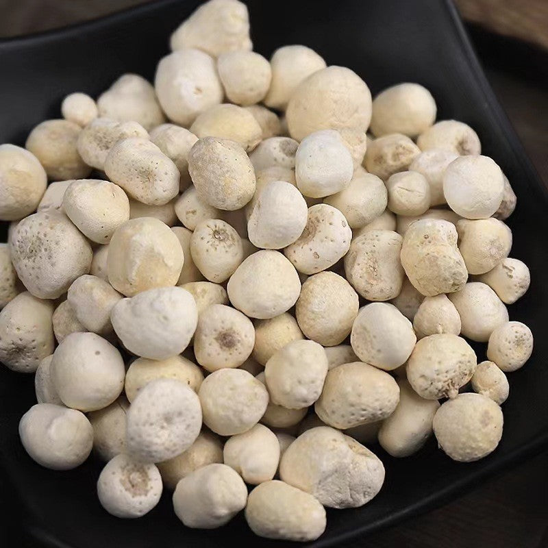 Prepared Pinellia Tuber · Rhizoma Pinelliae Preparata · Zhi Ban Xia · 制半夏 - Renji Herbal Therapy