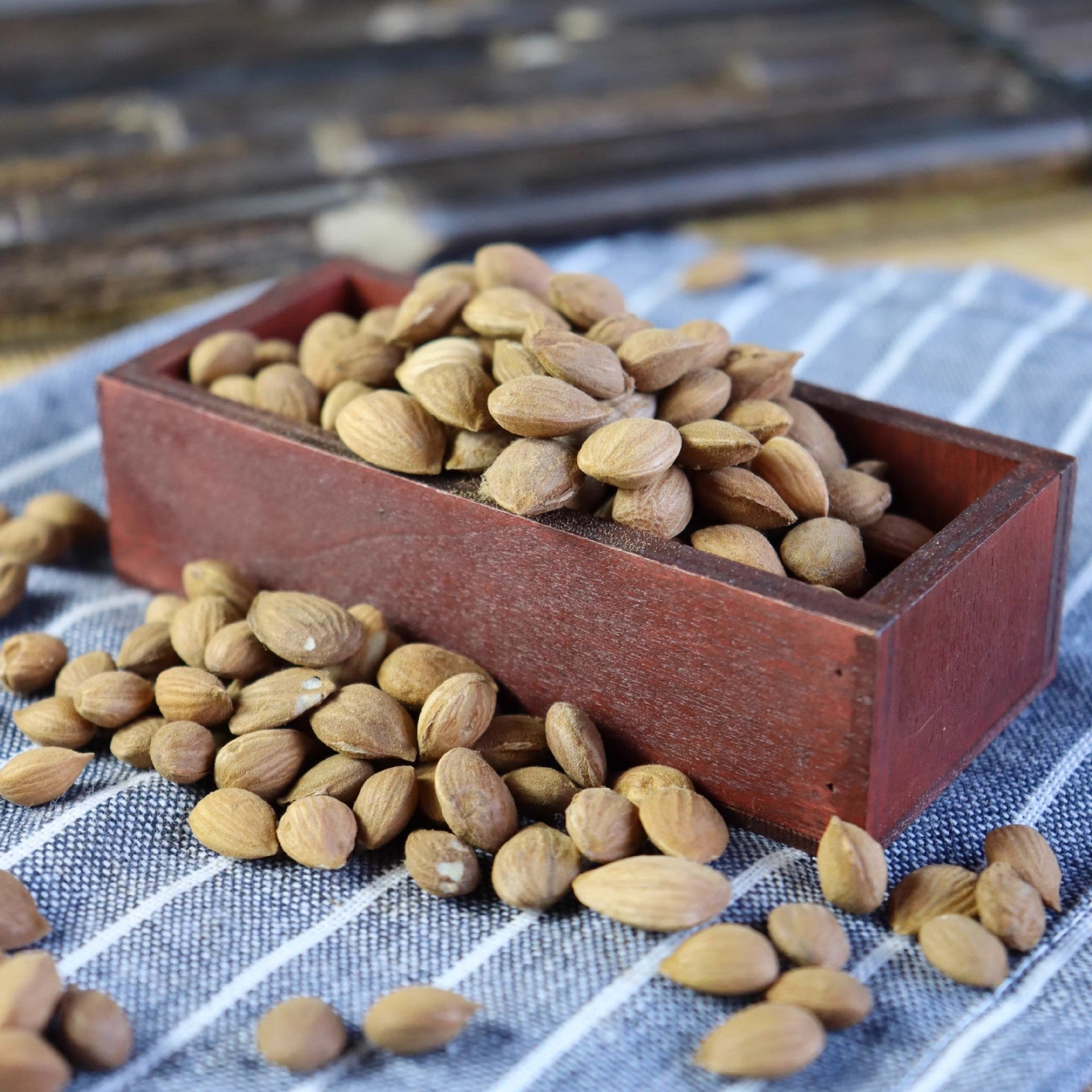 Peach Seed · Semen Persicae · Tao Ren · 桃仁 - Renji Herbal Therapy