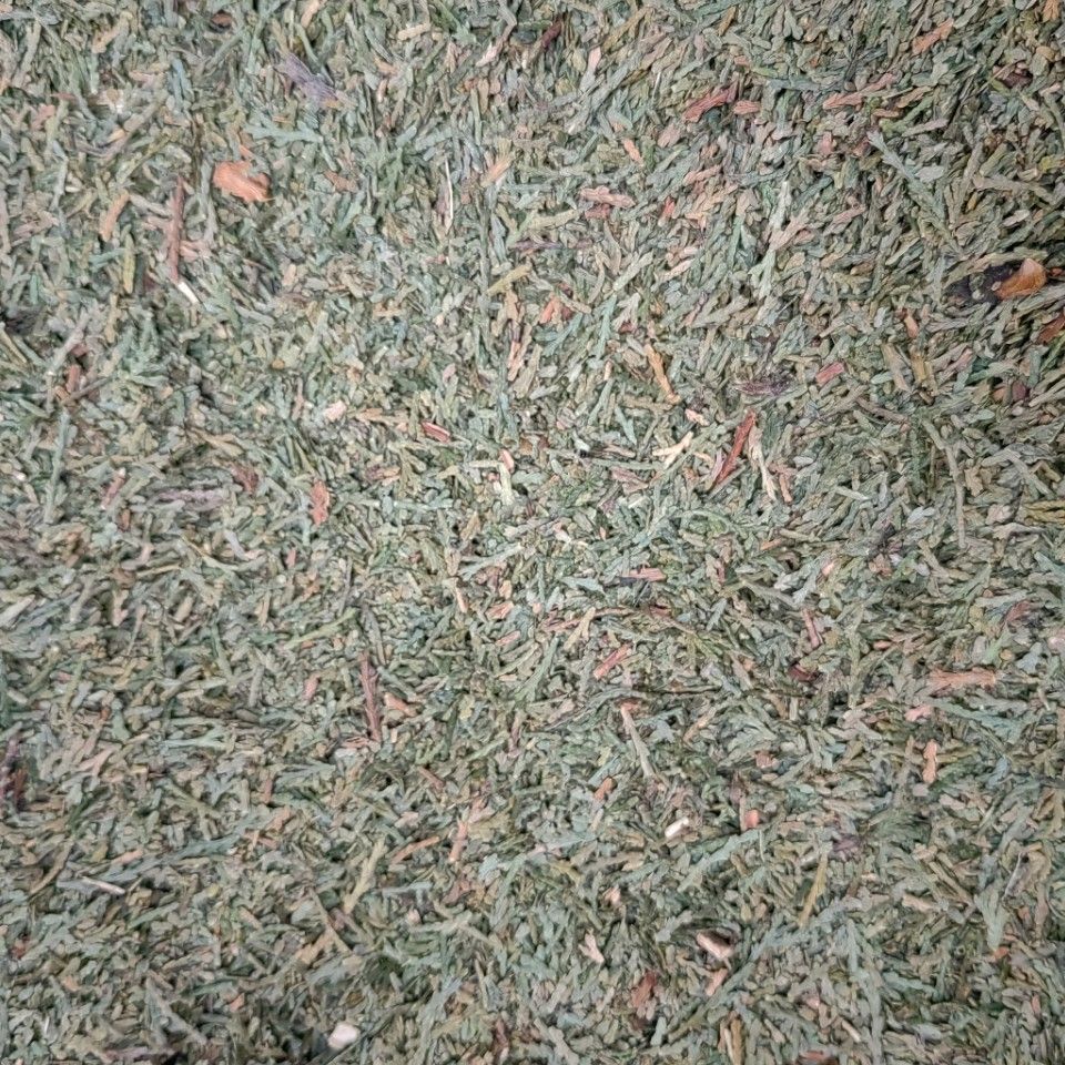 Leafy Twigs of Oriental Arborvitae/Cacumen Et Folium Biotae/Ce Bai Ye/侧柏叶 - HerbalWorld